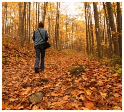 Person walking in a forest during fall with leaves covering the ground