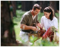 A couple with a basket picking vegetables