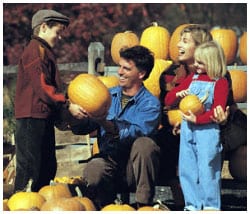 Family of four picking out pumpkins at a pumpkin patch.