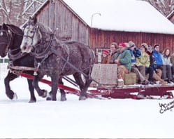 Two horses pulling a sleigh carrying people in winter